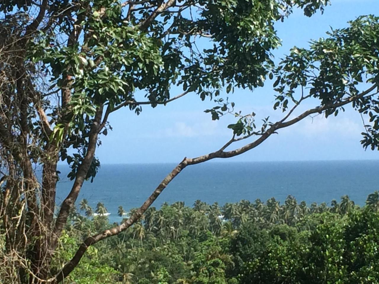 Tabula Rasa Resort & Spa Habaraduwa Central エクステリア 写真